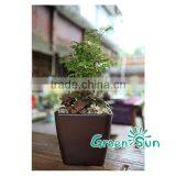Disposable Plastic Pot Self Watering Flower Pot thumbnail-5