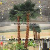 Garden Outdoor Uv-protected Date Palm Tree Canary Date Palm Tree thumbnail-3