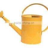 2016 Modern Hand-painting Garden Watering Can thumbnail-3