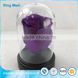 Transparent Clear Acrylic Flowers Box World Globe Dome thumbnail-6
