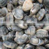 Frozen Short Neck Clam,IQF thumbnail-1