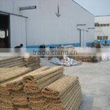 Youngsun Reed Farm company overview - view 1 thumbnail