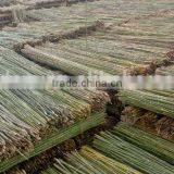 Bamboo Poles/bamboo Canes From Chinese Factory thumbnail-1