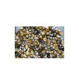 Sell Pigeon Feed thumbnail-1