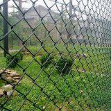 PVC Chain Link Fence|chian Link Mesh|iron Wire Mesh|diamond Shape Wire Mesh thumbnail-5