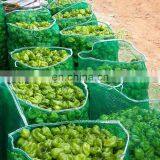 New PP Potatoes Woven Leno Mesh Net Bags Factory Price Wholesale thumbnail-6