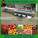Sweet Potato Grading Machine/ Pear Fruit Washing Drying Waxing Grading Machine thumbnail-4