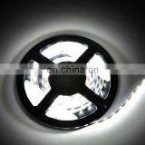 Relight SMD 2835 60LED/M Flexible Led Strip Lights, DC12V/24V, IP20/65 thumbnail-4