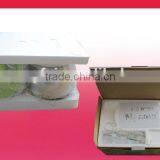 4L 300W Electric ABS Plastic Mixer thumbnail-6