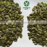 New Crop Pumpkin Seeds Kernels Without Shell, shine skin/snow white/gws