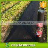 Breathable PP Agriculture Spunbond Polypropylene Nonwoven Fabric,spunbonded Polypropylene Nonwoven Fabric for Agriculture Use thumbnail-2