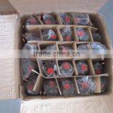 Electrical Immersion Heater Element With Thermostat thumbnail-6