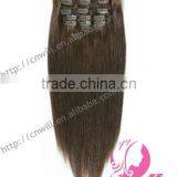 Natural Brown Indian Clip in Hair Extensions100% Indian Virgin Hair Human Remy Hair Clip In Hair Extensions For Black Women