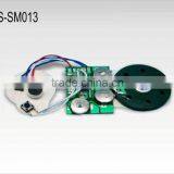 Recordable Module for Pillow