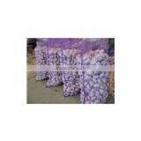 White Dry Garlic thumbnail-1