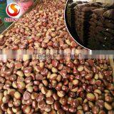 Big Size 2016 New Crop Fresh Dandong Chestnut for Advance Sale thumbnail-5