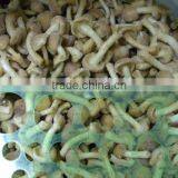 IQF Nameko thumbnail-1