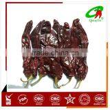 Sweet Dry Red Paprika Made in Qiangda thumbnail-1