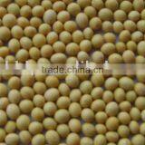 Organic Soybean thumbnail-1