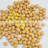 Chicken Pea Skin Removing Machine thumbnail-5