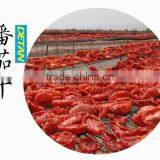 Sun Dried Tomatoes thumbnail-4