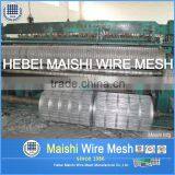 Welded Wire Fencing thumbnail-5
