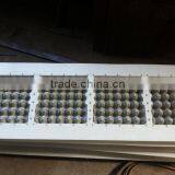 Plastic Egg Tray Mould thumbnail-1