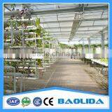Hydroponic Greenhouse thumbnail-2