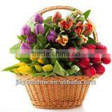Wholesale Empty Christmas Decor Willow Flower Vase Baskets thumbnail-1