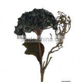 Single Hydrangea With Gold Tape thumbnail-2