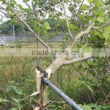 Folding Snow Shovel, Stainless Steel Snow Shovel, Folding Garden Shovel thumbnail-4