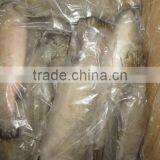 Frozen Sea Bass thumbnail-5