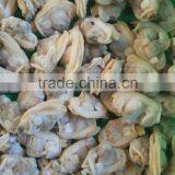 Frozen Boiled Clam Meat Bulk Packing in Shellfish thumbnail-3