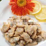 Frozen Short Neck Clam Meat thumbnail-1