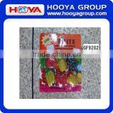 14Y FRUIT 6PCS Colorful Personalized Fridge Magnets thumbnail-1