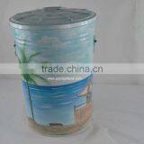 Indooor Decoratin Big Colorful Metal Garbage Bin