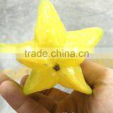 Artificial Similation by 90 % Fruit and Vegetable Prices With Mango, Banana, Starfruit, Pomelo thumbnail-6