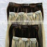 Hot Clip on Hair Extension