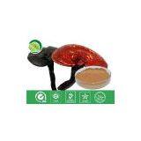Ganoderma Extract