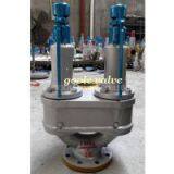 Double Port Full Lift Safety Valve thumbnail-3