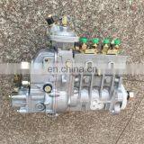FOTON LOVOL Fuel Injection PumpT832080125 With Other No.10 402 374 148 10402374148 for Lovol Engine thumbnail-1