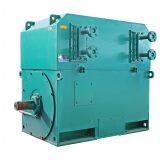 Reliable Supplier High Voltage Simo Motor Made in China thumbnail-3