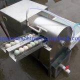 Automatic Chicken Duck Goose Eggs Cleaner/Washer Machine With Capacity 7000eggs/h thumbnail-4
