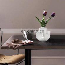 Human Face Expression Plants Pot Vase Planter Home Office Desktop Decor Gift Living Room Decorations thumbnail-3