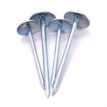 Galvanized Umbrella Nails - Various Sizes With OEM and Bulk Order Options thumbnail-2
