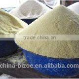 Saving Power and Labor Consumption Garri Processing Machinery thumbnail-3