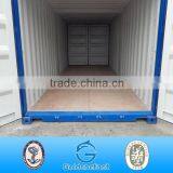 20ft 40ft Seaworthy Shipping Container