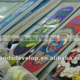 Canadian Maple Skateboard Deck in Good Shape thumbnail-1
