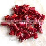 Big Size Chili Cutting Ring Chili Segment Chili Circle thumbnail-1