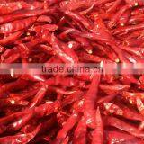 Teja Red Chilli thumbnail-1